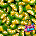 Tranche de citron (100g)