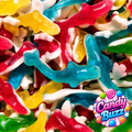 Requins (100g)